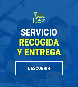 SERVICIO DE RECOGIDA Y ENTREGA